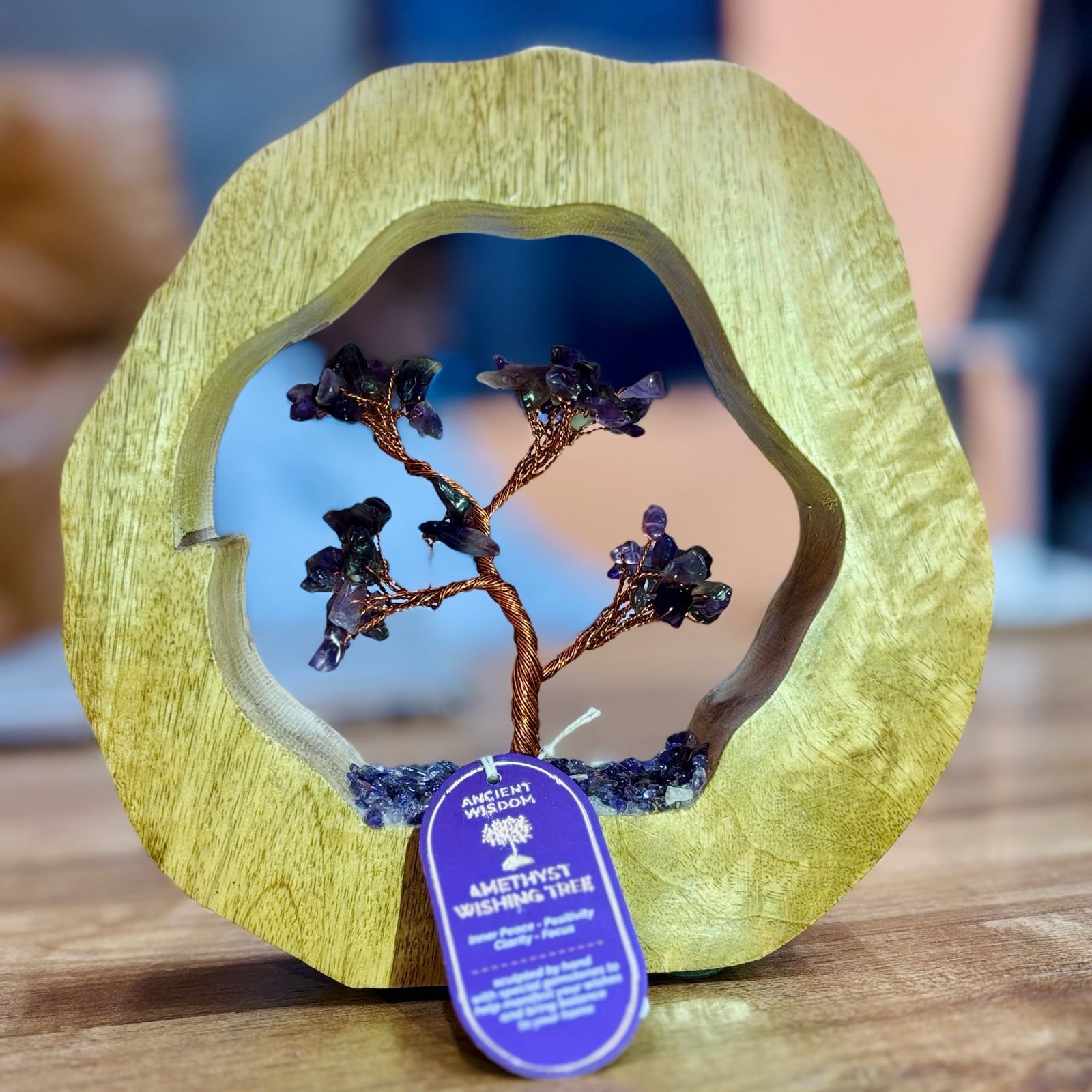 Brangakmenių medelis „Amethyst“ – mango medžio žiedas ir 60 akmenėlių ramybės sodui