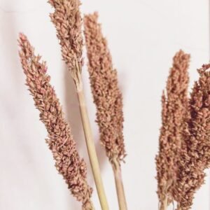 Dekoratyvinė žolės puokštė „Cantal Grass“ – rūdžių atspalvio natūralus akcentas