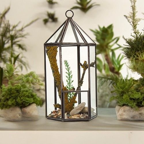 Stiklinis terariumas „Lantern Shape“ – šviesos ir žalumos paslaptis namams
