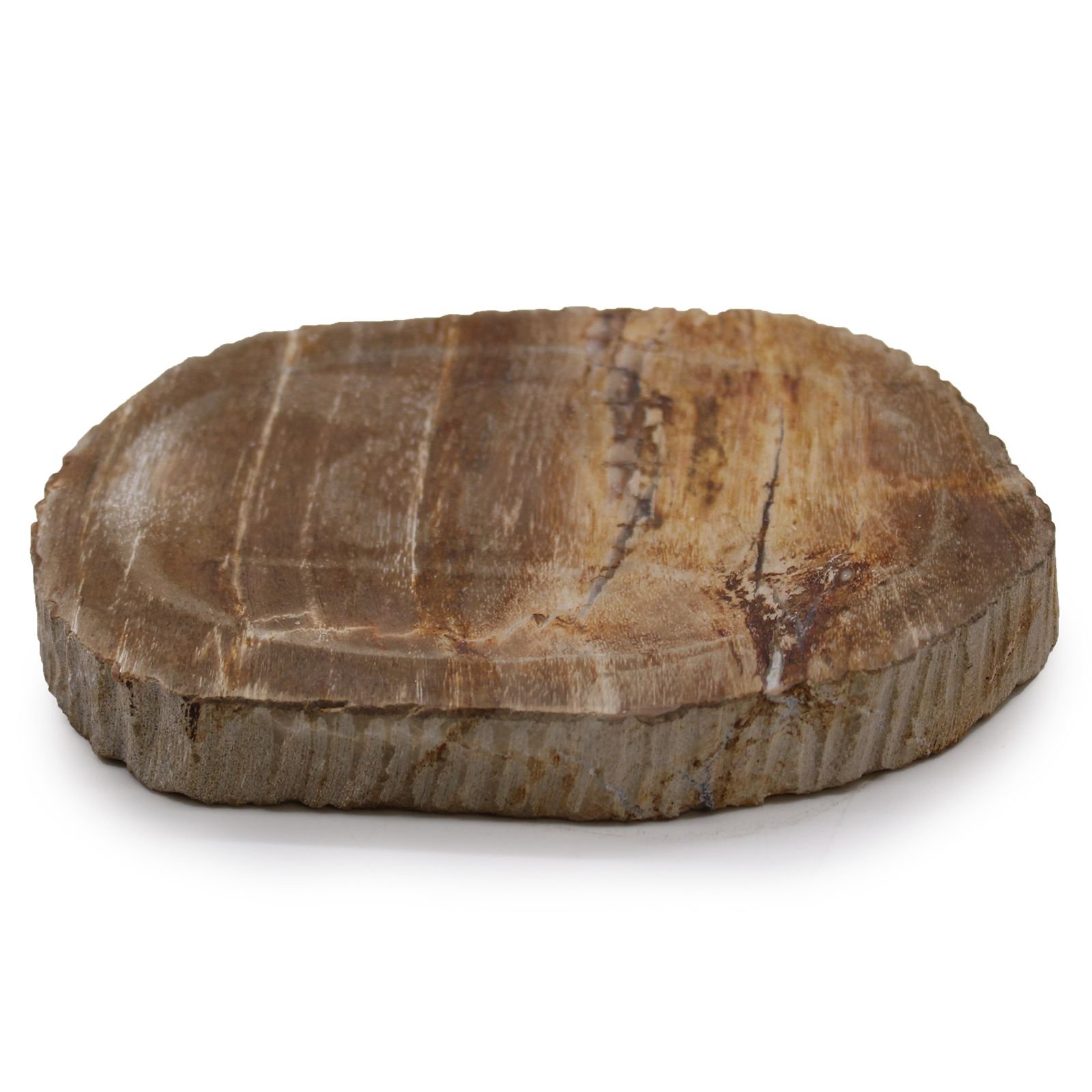 Akmeninė muilinė iš suakmenėjusios medienos – „Petrified Wood“ natūralus vonios akcentas